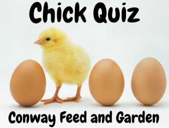 Conway Feed & Garden Quiz